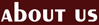About EuroPanache Travel Company